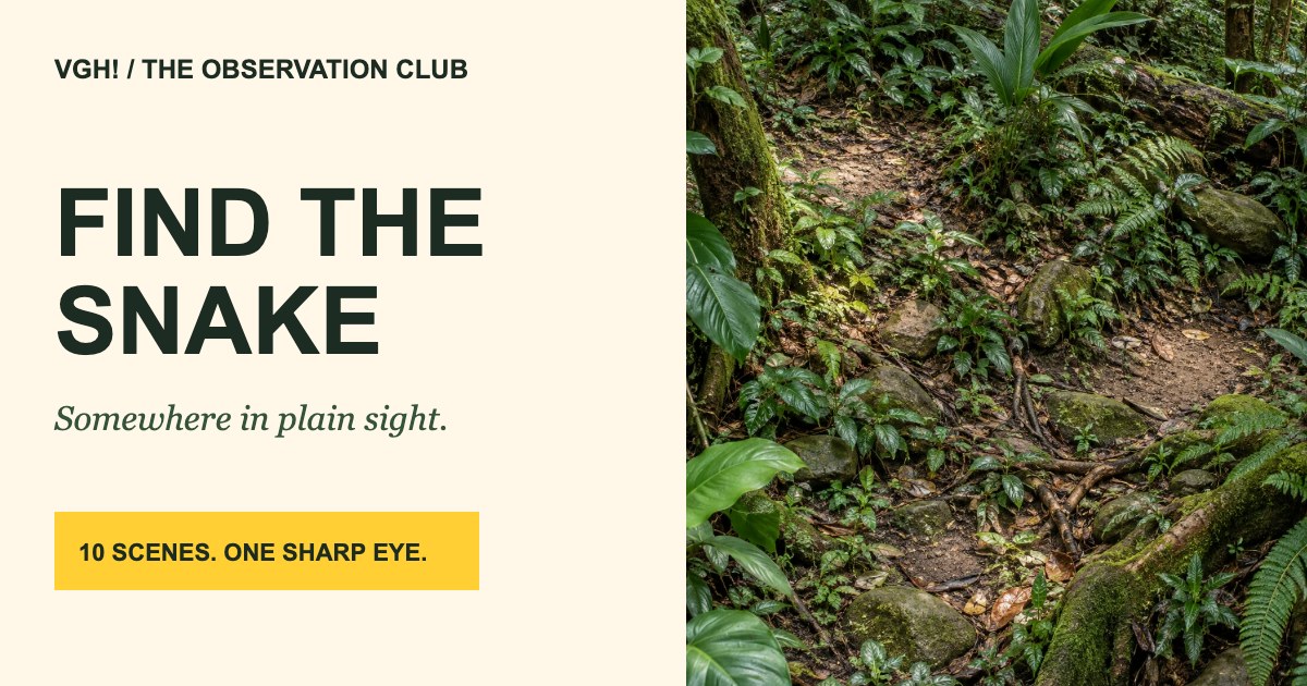 Find the Snake: an original nature spotting game